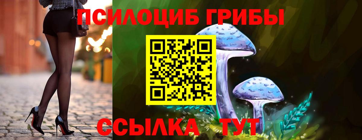 Псилоцибиновые грибы мухоморы  цены наркотик  Мценск  Галлюциногенные грибы ЛСД  Вход с VPN 